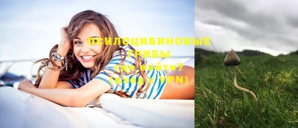 прущая мука Кинешма