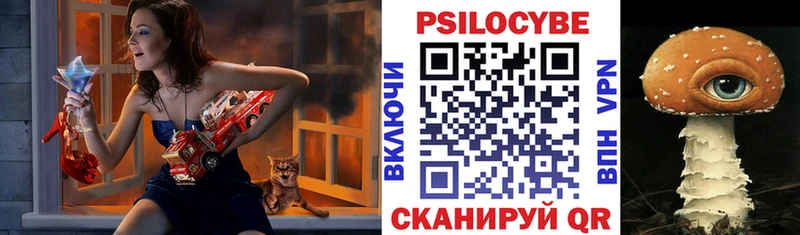 Псилоцибиновые грибы мицелий  Купить где  Бодайбо 